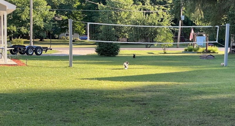 Pines of Paradise (Lake View Motor Court) - From Web Listing (newer photo)